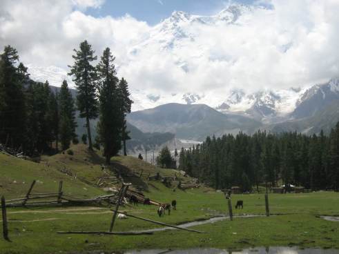 nanga parbat, base camp, fairy meadows, killer mountain, offbeat travel, pakistan, himalayas