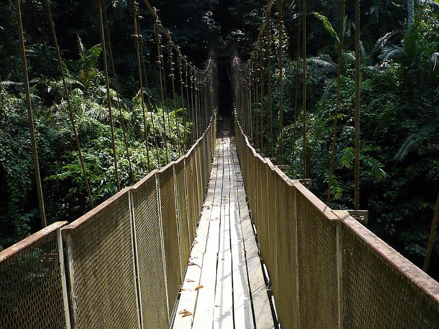 Taman Negara, Canopy Walk, Rainforest, Malaysia, Travel