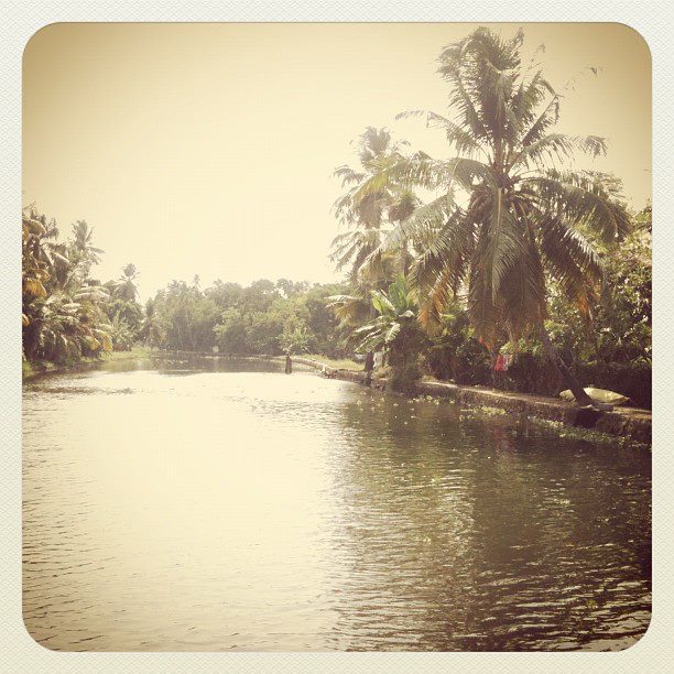 backwaters instagram